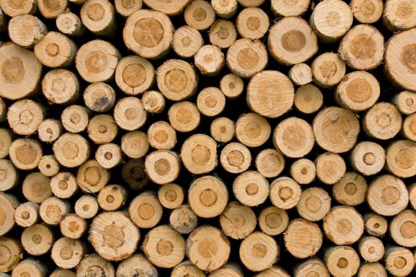 Energiesparhäuser bauen mit Holzmodulen